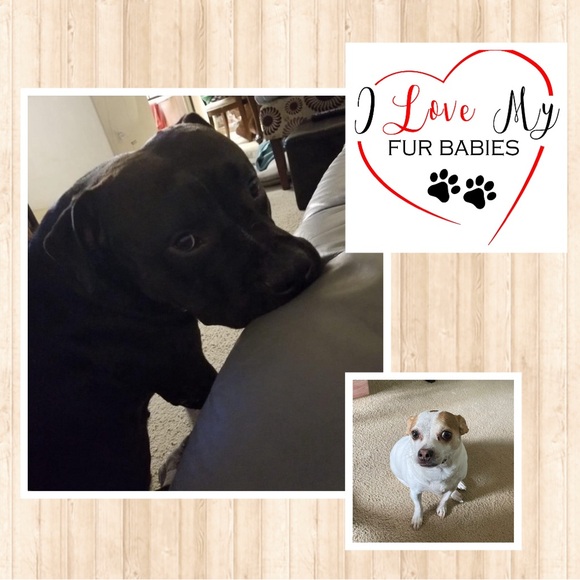 LIVE SHOW LISTING ❤️❤️❤️ BAGS WALLETS ACCESSORIES 🥰🌺 Join me for a fun show!!! - Picture 9 of 13